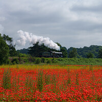 Buy canvas prints of Locomotive Passing A Poppy Field by rawshutterbug 