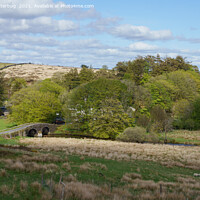 Buy canvas prints of Old Bridge At Two Beridges in in the heart of Dart by rawshutterbug 