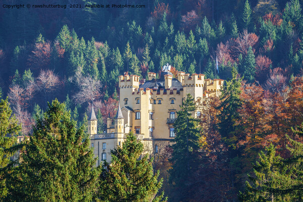 Hohenschwangau Castle In Autumn Picture Board by rawshutterbug 