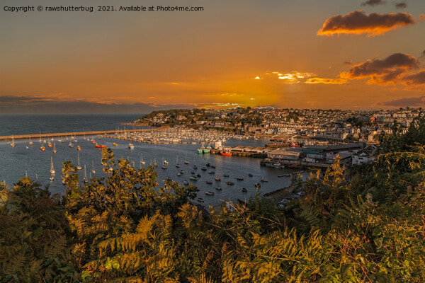 Brixham Harbour At Sunset Picture Board by rawshutterbug 
