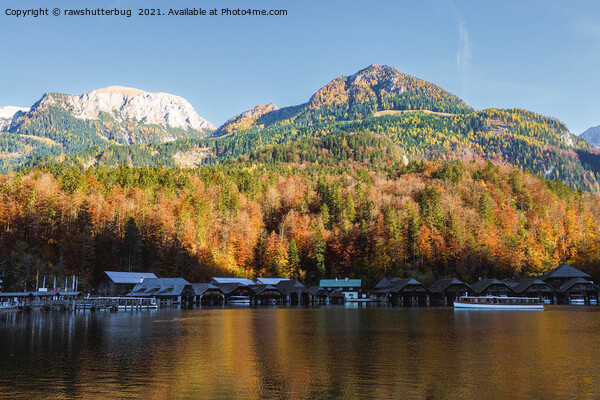 Königssee Boat Houses And Jenner Mountain Picture Board by rawshutterbug 