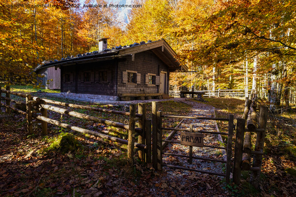 Log Cabin In The Woods Picture Board by rawshutterbug 