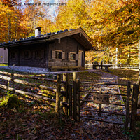 Buy canvas prints of Log Cabin In The Woods by rawshutterbug 