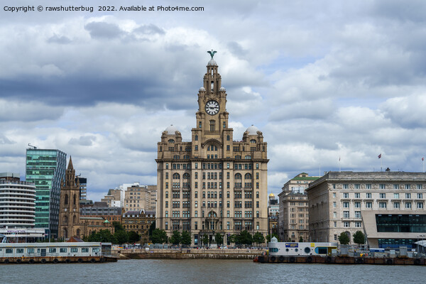Liverpool Liver Building Picture Board by rawshutterbug 