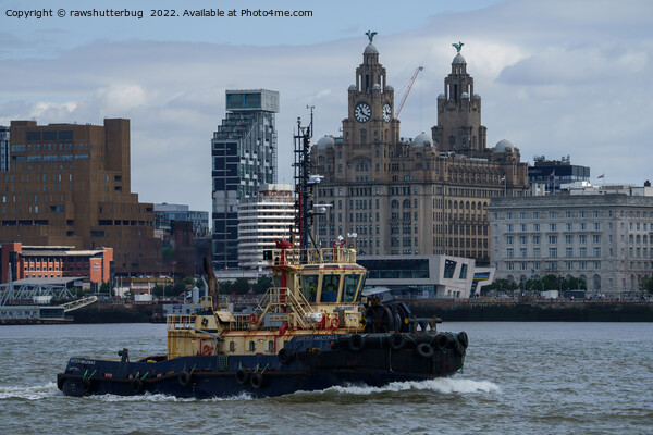 Tug Boat And Liver Building Picture Board by rawshutterbug 