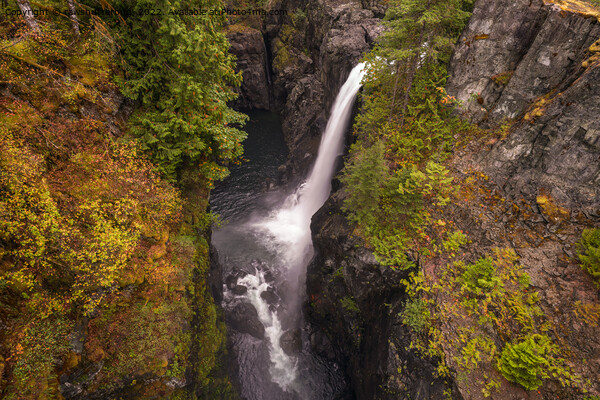 Autumn Colours At The Elk Falls Picture Board by rawshutterbug 