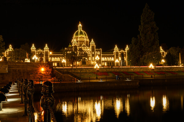 British Columbia Parliament Buildings At Night Picture Board by rawshutterbug 