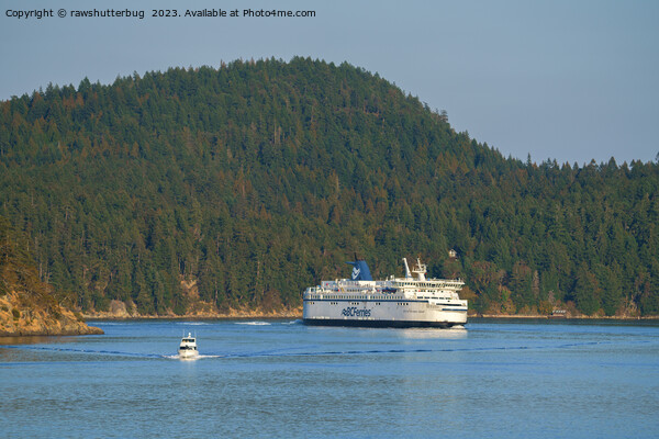 Ferry At Miners Bay BC Picture Board by rawshutterbug 