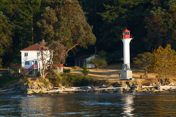 Active Pass Lighthouse - Mayne Island Picture Board by rawshutterbug 