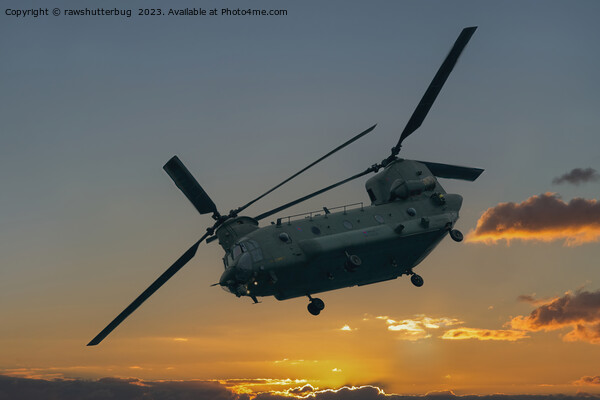 Chinook At Sunset Picture Board by rawshutterbug 