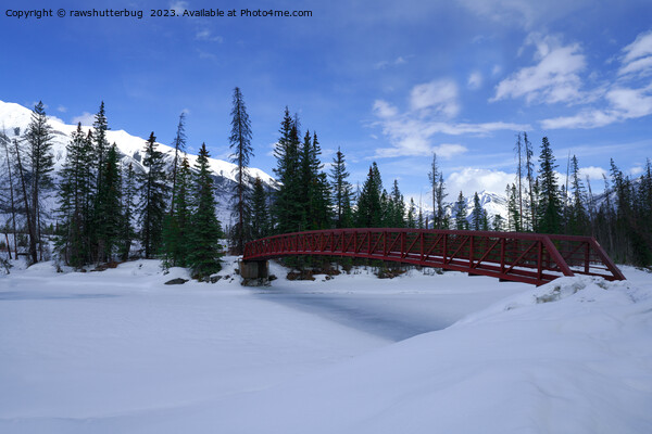 Snow At The Simpson River Trailhead Kootenay River Picture Board by rawshutterbug 