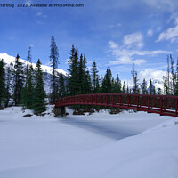 Buy canvas prints of Snow At The Simpson River Trailhead Kootenay River by rawshutterbug 