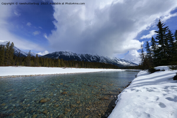 Snow Covered Scenery At The Kootenay River Canada Picture Board by rawshutterbug 
