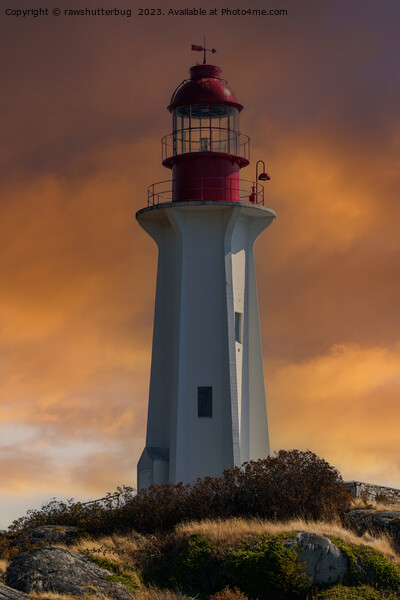 Point Atkinson Lighthouse At Sunset Picture Board by rawshutterbug 