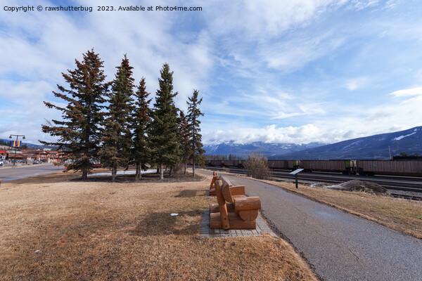 Jasper Alberta View Of Trains And Snowy capped Mou Picture Board by rawshutterbug 