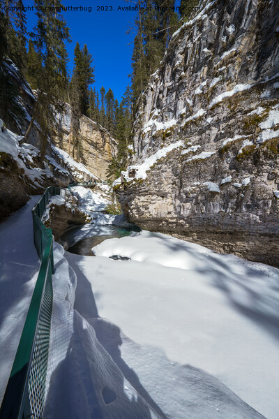 Snowy Johnston Creek (Alberta) Picture Board by rawshutterbug 