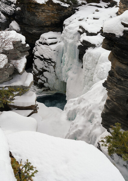 Frozen Athabasca Falls Picture Board by rawshutterbug 
