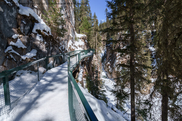 Winter's Frozen Beauty Path to Johnson Creek Upper Picture Board by rawshutterbug 