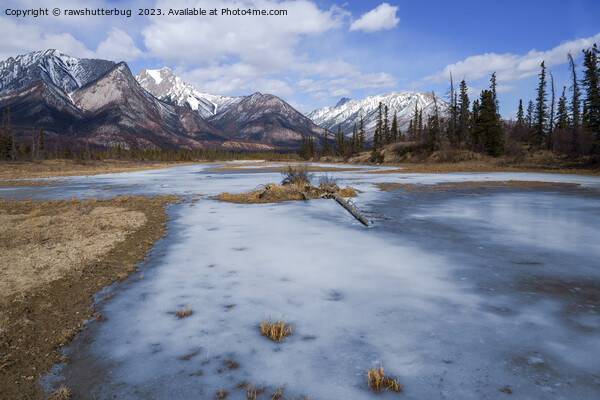 Winter Magic on the Athabasca River Picture Board by rawshutterbug 