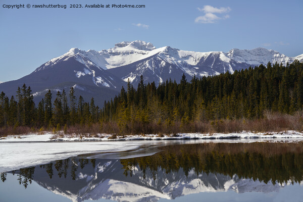 Tranquil Reflections at Vermilion Lakes, Alberta Picture Board by rawshutterbug 