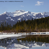 Buy canvas prints of Tranquil Reflections at Vermilion Lakes, Alberta by rawshutterbug 