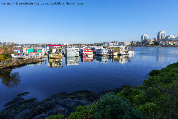 Colored Houses on Vancouver Island's Shore Picture Board by rawshutterbug 