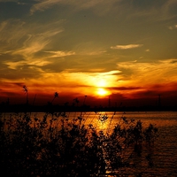 Buy canvas prints of Chasewater Sunset by rawshutterbug 