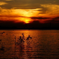 Buy canvas prints of Chasewater Park Sunset by rawshutterbug 