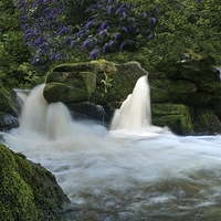 Buy canvas prints of Tranquil Waterfall by rawshutterbug 