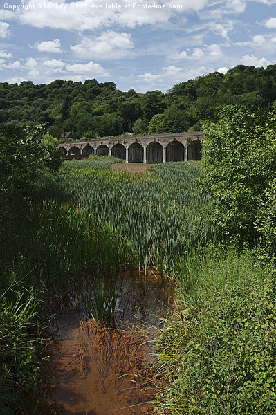 Railway Viaduct At Coalbrookdale Picture Board by rawshutterbug 