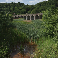 Buy canvas prints of Railway Viaduct At Coalbrookdale by rawshutterbug 