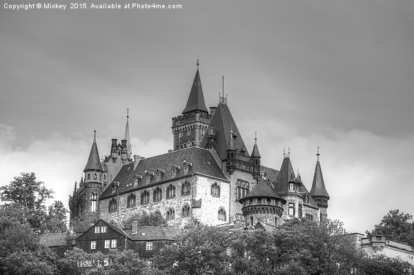 Wernigerode Castle Picture Board by rawshutterbug 