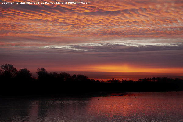 Red Sky At Chasewater Picture Board by rawshutterbug 