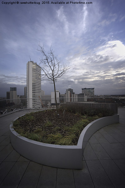 Birmingham Rooftop Garden Picture Board by rawshutterbug 