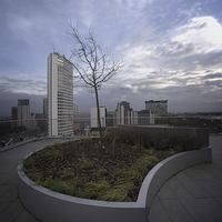 Buy canvas prints of Birmingham Rooftop Garden by rawshutterbug 