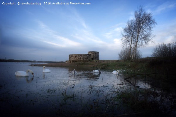 Castle At Chasewater Picture Board by rawshutterbug 