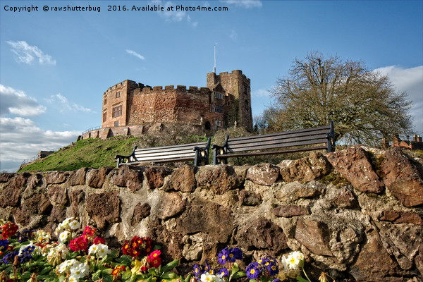 Tamworth Castle And Garden Picture Board by rawshutterbug 
