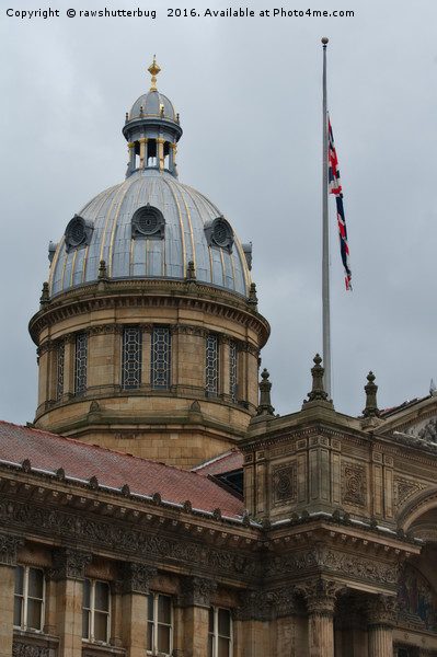 Dome Of The Birmingham Council House Picture Board by rawshutterbug 