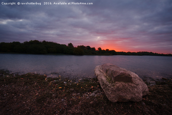 Sunrise Glow At Chasewater Picture Board by rawshutterbug 