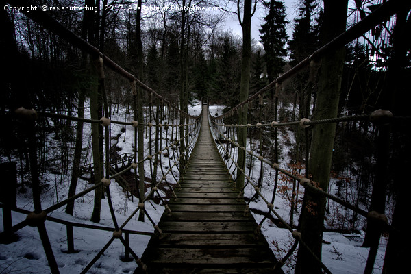 Suspension Bridge Along The Waldskulpturenweg Picture Board by rawshutterbug 