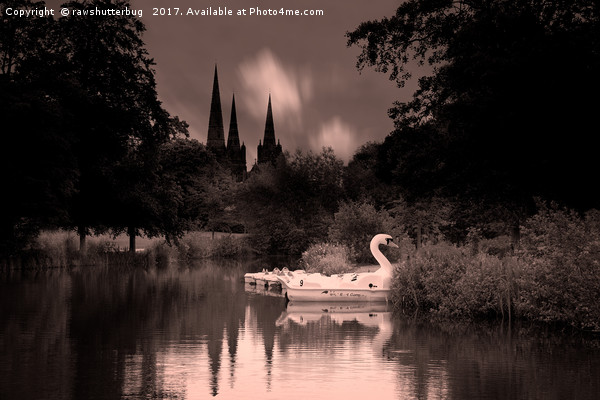 Swan Boats In The Reflection Of Lichfield Cathedra Picture Board by rawshutterbug 