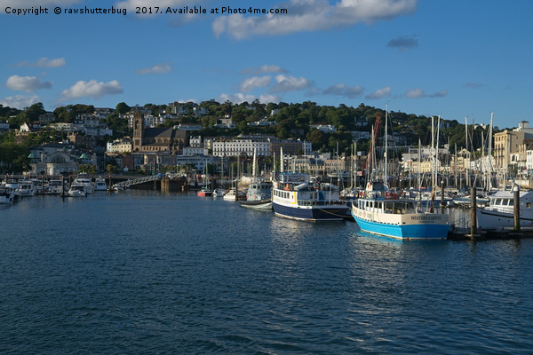 Torquay Harbour Picture Board by rawshutterbug 