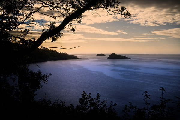 Thatchers Rock and Hope Nose At Sunset Picture Board by rawshutterbug 