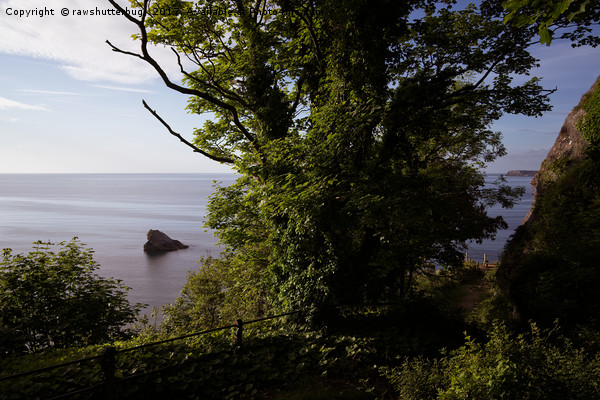 View From Torquay South West Coastal Path Picture Board by rawshutterbug 