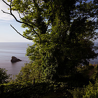 Buy canvas prints of View From Torquay South West Coastal Path by rawshutterbug 