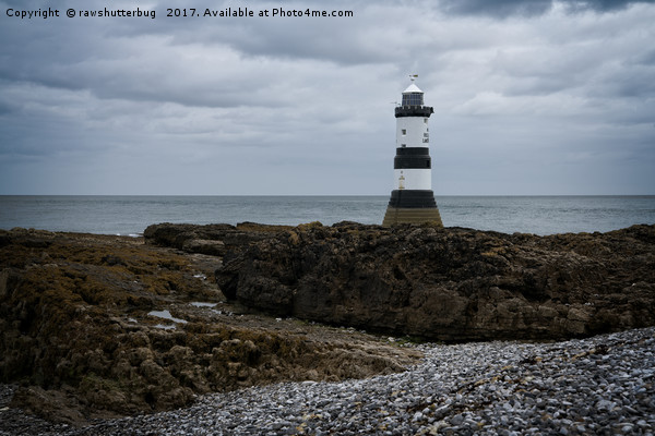 View Of The Trwyn Du Lighthouse Picture Board by rawshutterbug 