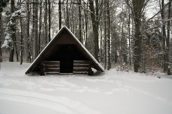 Log Hut In The Snow Picture Board by rawshutterbug 