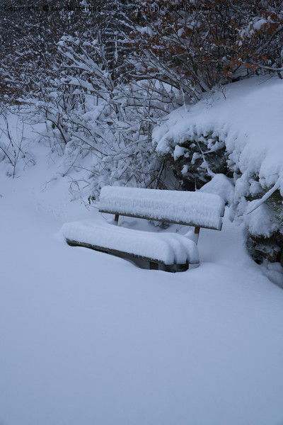 Snow Covered Bench Picture Board by rawshutterbug 