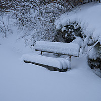 Buy canvas prints of Snow Covered Bench by rawshutterbug 