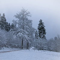 Buy canvas prints of Winter Feeling by rawshutterbug 